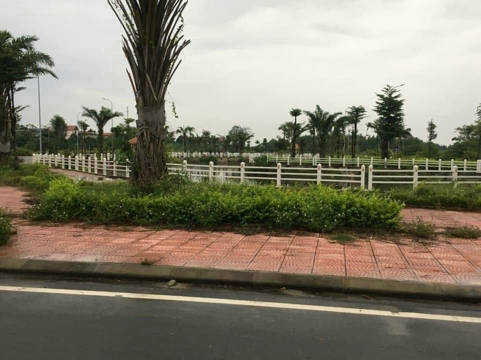 z5363777219340_7cb4d4e4c49de7374a0ca04e304f0293